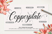 Marioline Script, a Script Font by josstype (Thumbnail 5 of 11)