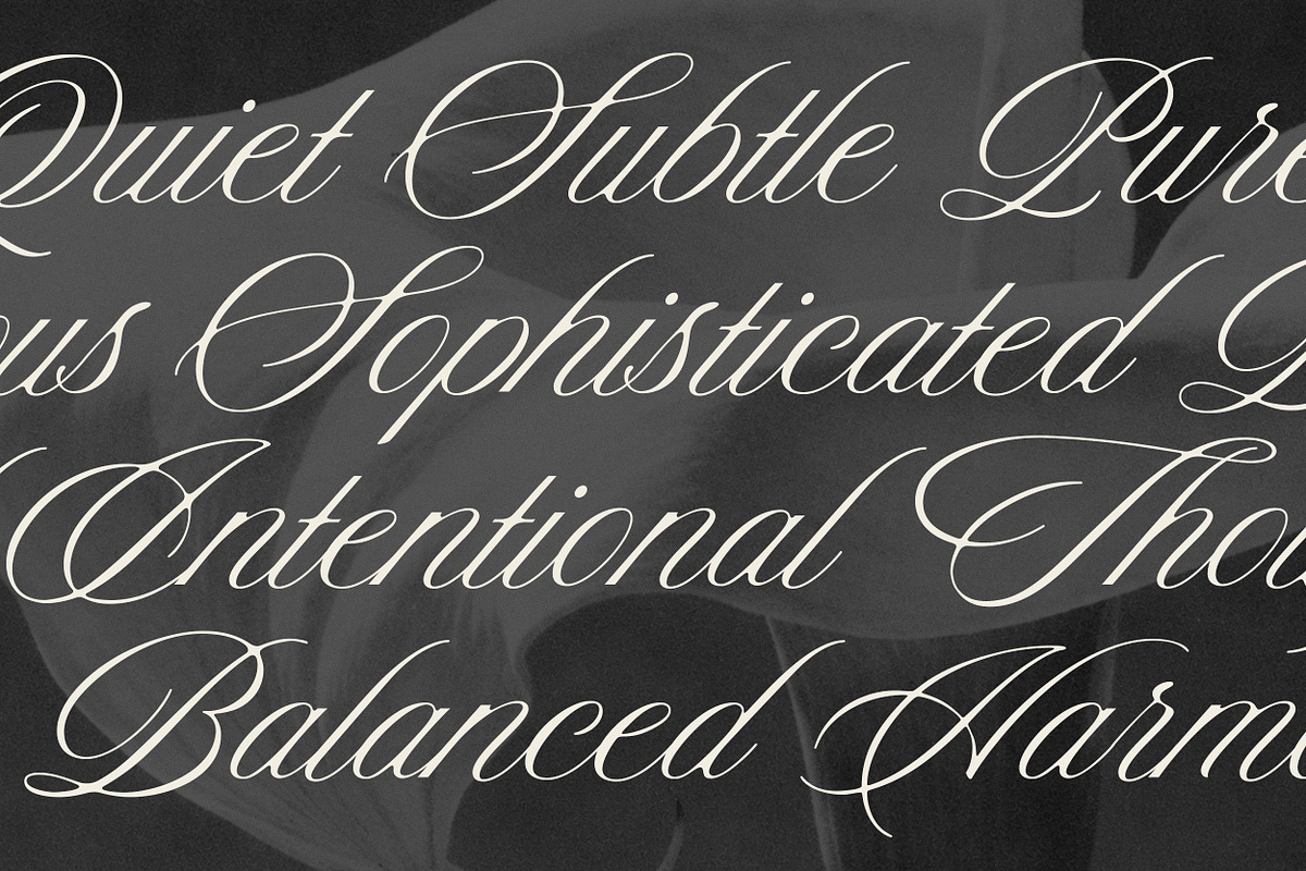 Reserve - Luxury Script Font, a Script Font by Davide Bassu (Photo 12 of 12)