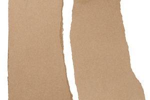Torn piece of brown cardboard on a white isolated background, cl, an Animal Photo by ndanko