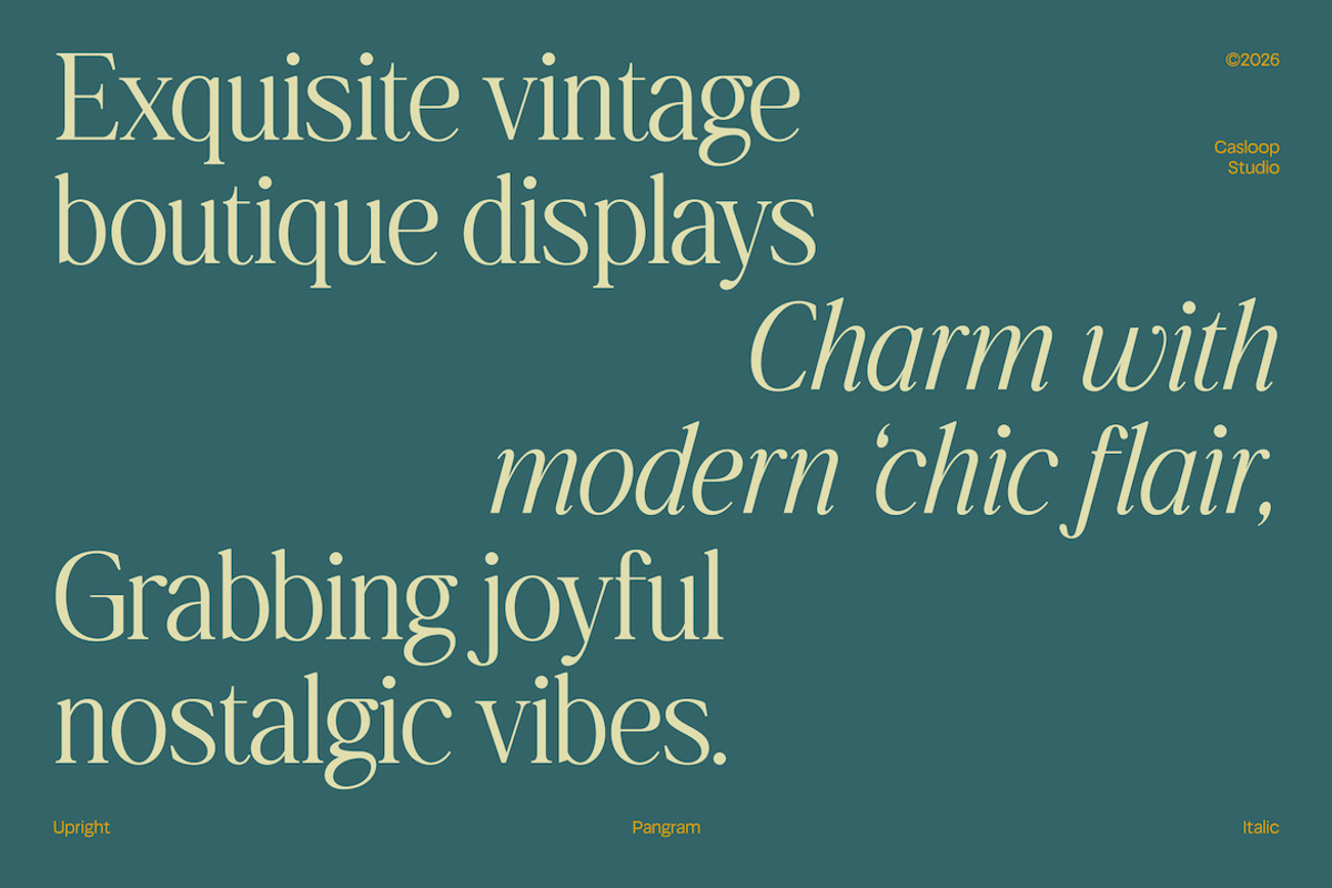 Dalven Goofler – Vintage Elegant, a Serif Font by Casloop Studio (Photo 5 of 10)