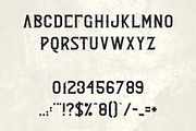 Young Rebel Font Duo -50%, a Sans Serif Font by VP Fonts (Thumbnail 8 of 12)