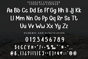 SUMMER SADNES, a Sans Serif Font by InermediaSTUDIO (Thumbnail 8 of 8)