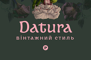 Datura —Fantasy Retro Brush