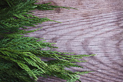 Rustic Flat Lay, a Nature Photo by Ana Dee Photography (Thumbnail 1 of 2)