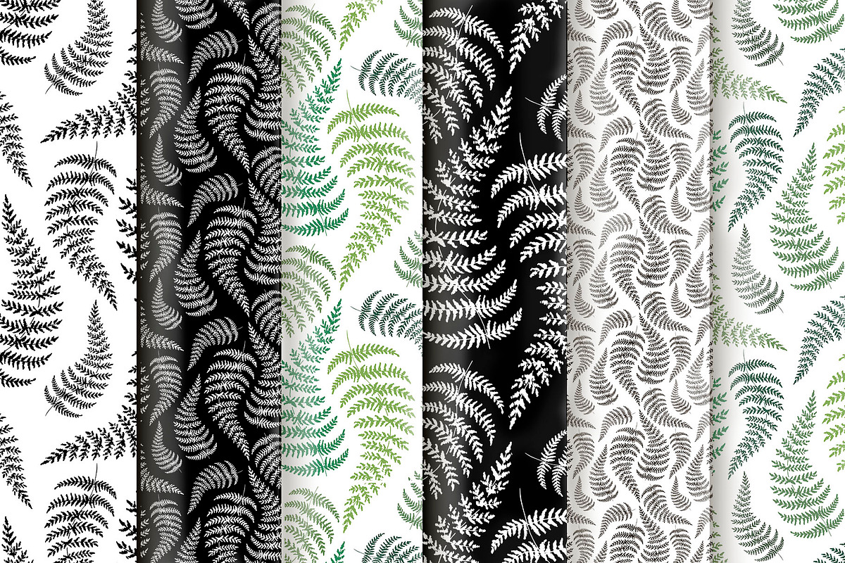 Fern. Line art sketch and patterns, a Decorative Illustration by Canatic (Photo 2 of 6)