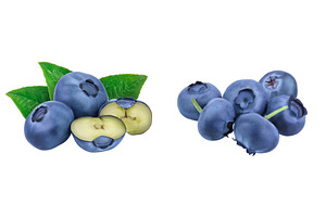 fresh blueberry and half isolated on