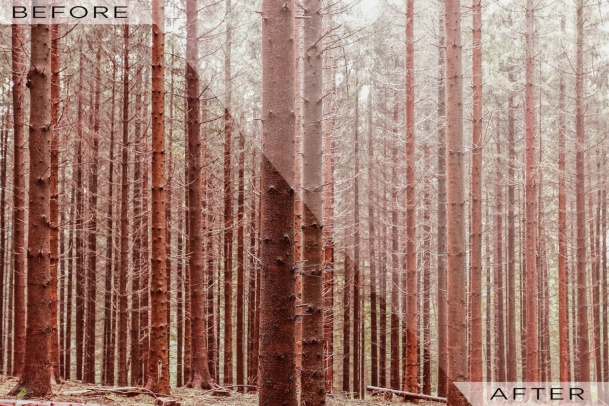 Fog and Mist Lightroom Presets, a Plug-in Add-On by Click Click Studio (Photo 4 of 9)