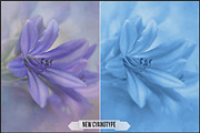 Authentic Cyanotype LUTs, a Plug-in Add-On by Raztrend (Thumbnail 17 of 32)