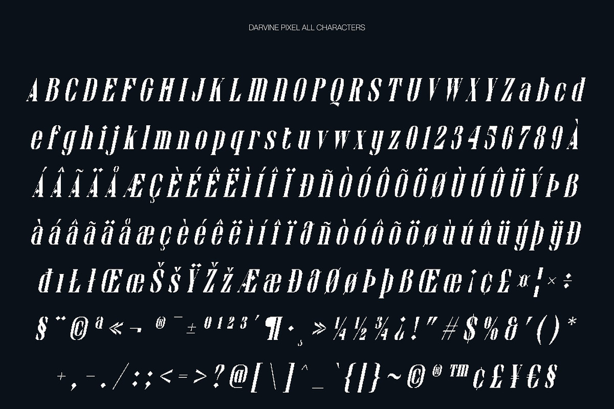 Darvine Pixel, a Serif Font by Craft Supply Co. (Photo 8 of 8)