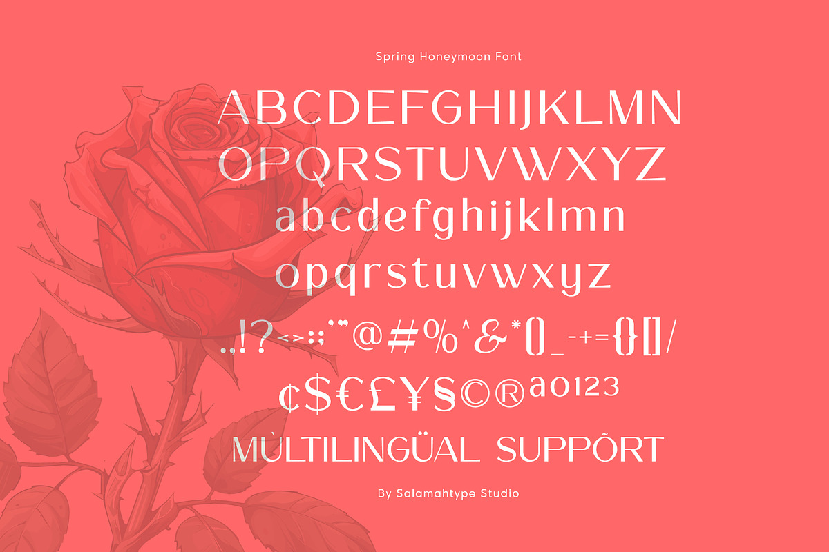 Spring Honeymoon - Aesthetic Font, a Sans Serif Font by Salamahtype (Photo 7 of 9)