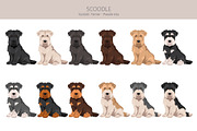 Scoodle, Scottiepoo dog mix, an Animal Illustration by pet design shop (Thumbnail 3 of 6)