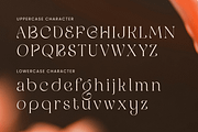 Elarose- Luxury Cinematic Serif Font, a Serif Font by Sensatype (Thumbnail 11 of 13)