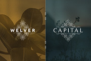 [Spring Vibes] 40 Mosaic Logos -50%, a Branding & Logo Template by VP Fonts (Thumbnail 15 of 27)