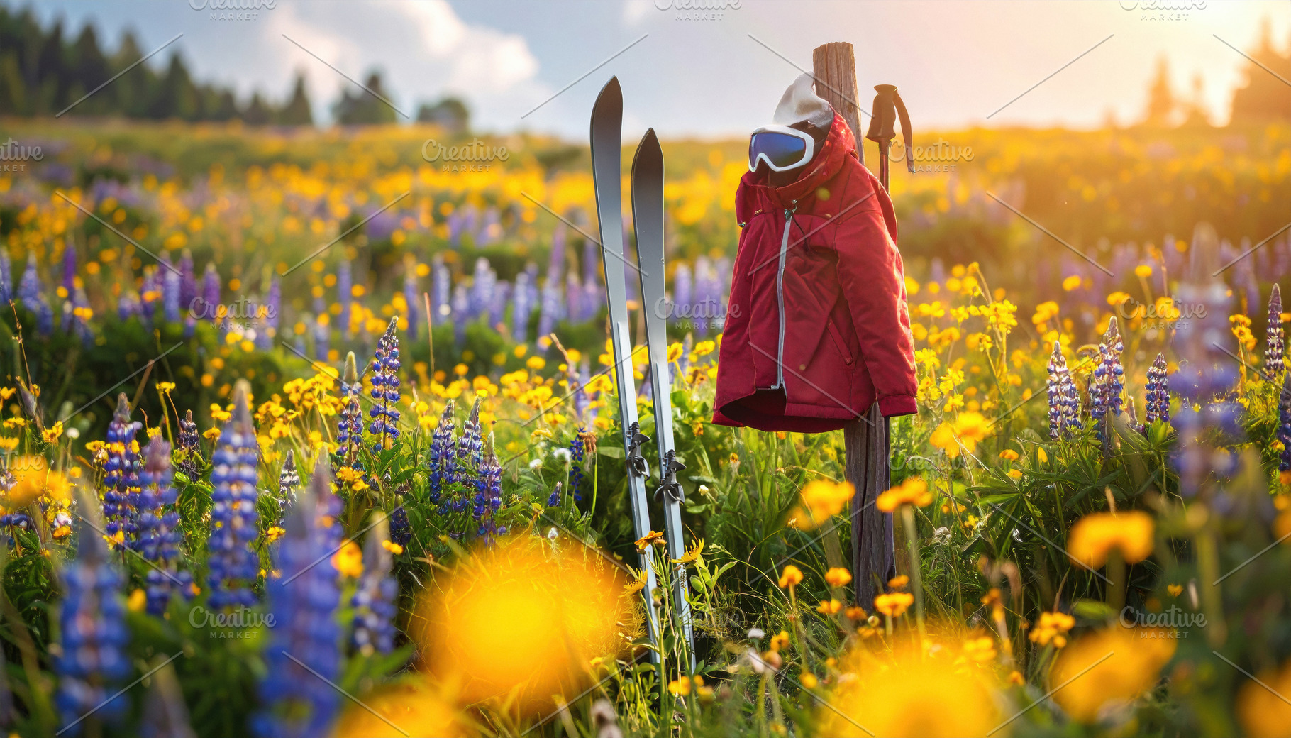 Skis and Red Jacket in Spring Wildflowers, a Sports & Recreation Photo by Davizro's Market