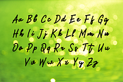 Nerissa font, a Script Font by TNE Designs (Thumbnail 2 of 3)