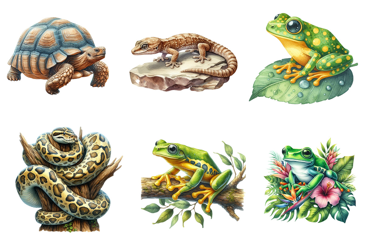 Watercolor Reptile Clipart Amphibian, an Illustration by CreationArt (Photo 2 of 5)