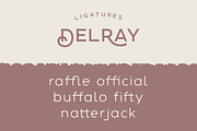 DelRay - Sans Serif Ligature Typefac, a Serif Font by Surplus Type Co (Thumbnail 11 of 13)