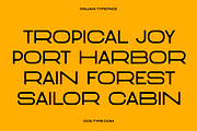 Rinjani Sans - Wide Stretch Typeface, a Sans Serif Font by CCS Type (Thumbnail 2 of 19)