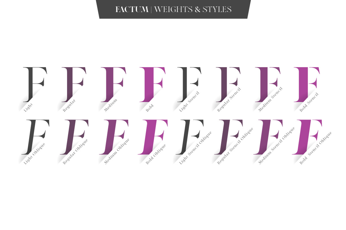 Factum font family, a Serif Font by Fontop (Photo 5 of 12)