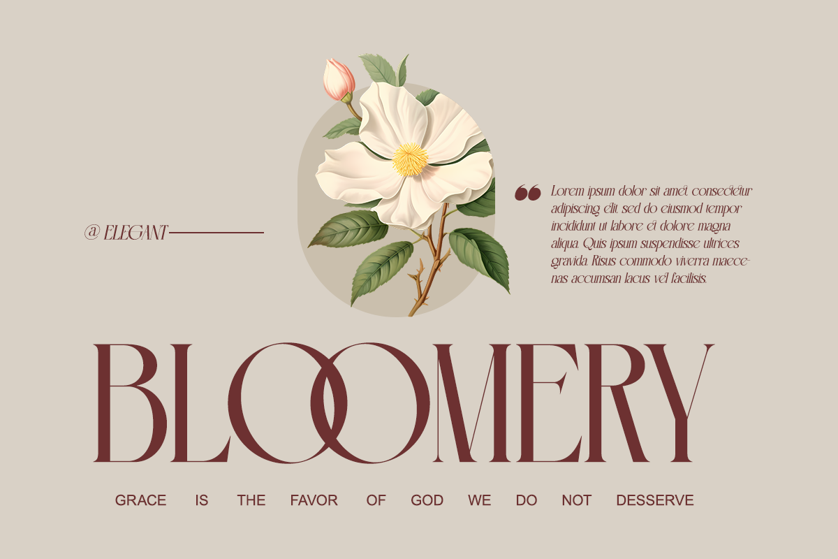 Cogofonte - Modern Geometric Serif, a Serif Font by Qweera Studio (Photo 2 of 12)