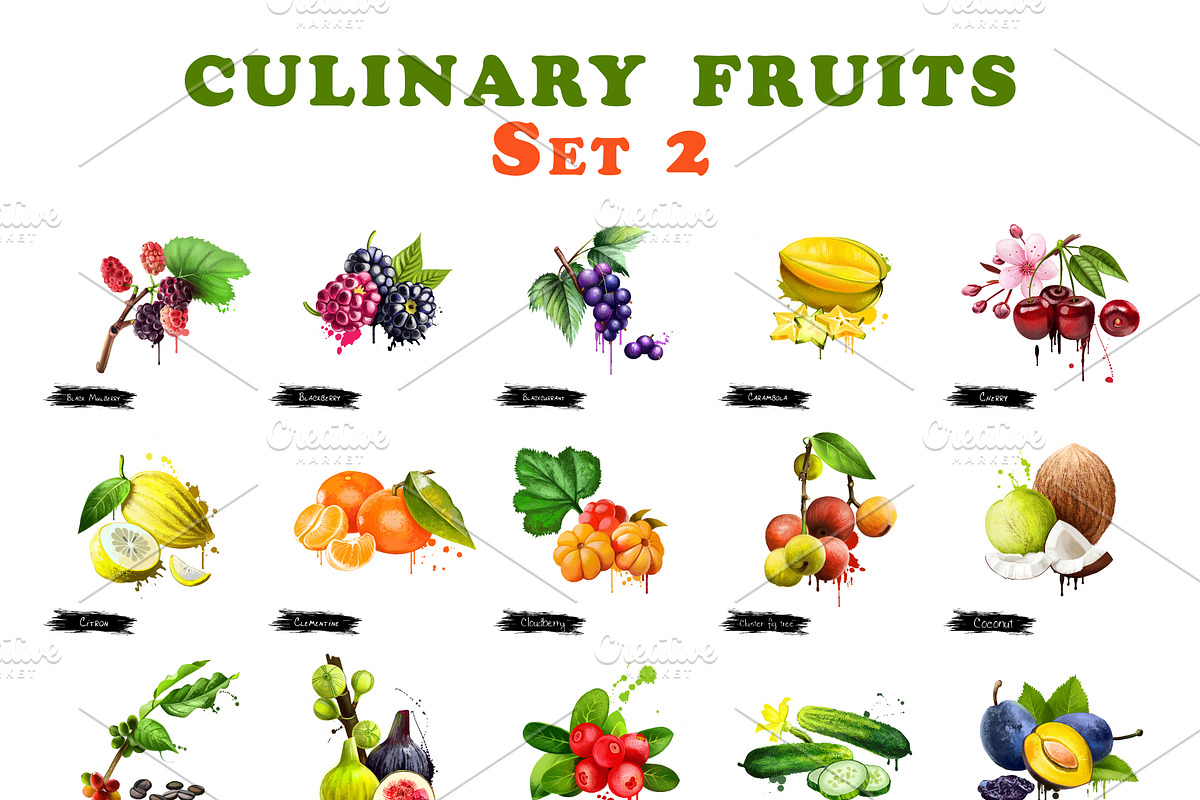Set culinary fruits part 2, an Object Graphic by Dneprstock (Photo 1 of 3)
