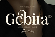 Branck - Modern Luxury Logo Font, a Serif Font by Sensatype (Thumbnail 4 of 12)