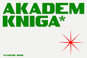 SK Akademkniga — Monumental Grotesk, a Sans Serif Font by Shriftovik Type Foundry (Thumbnail 1 of 10)