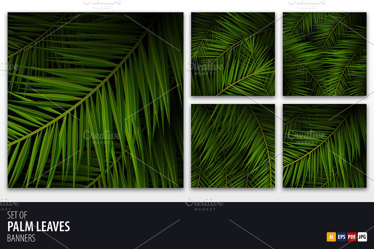 Palm Leaves background, a Decorative Illustration by Leo Edition (Photo 1 of 3)