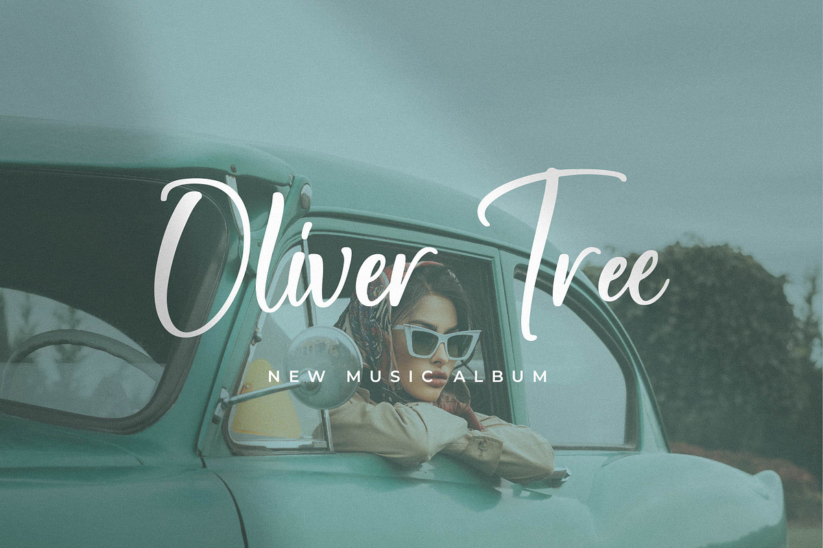 Newscript, a Script Font by Integritype Studio (Photo 2 of 14)