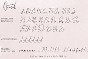 Dental - Signature Font, a Script Font by Arendxstudio (Thumbnail 8 of 8)