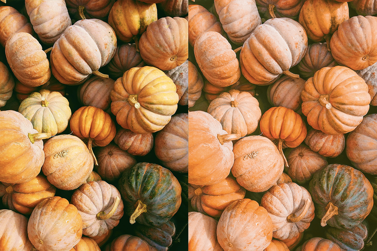 4 Autumn Lightroom Presets, a Preset Add-On by AnagramDesign (Photo 8 of 8)