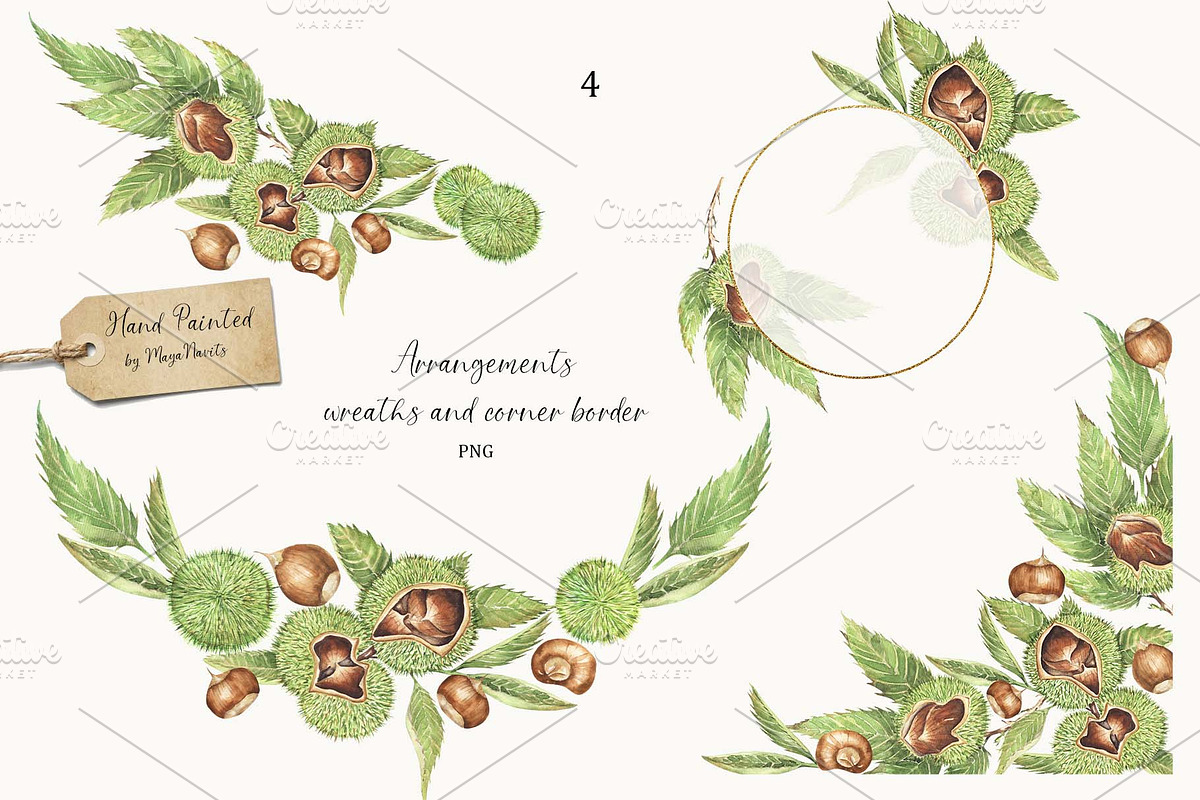 Watercolor Chestnut Set, a Food Illustration by MayaNavits (Photo 3 of 7)
