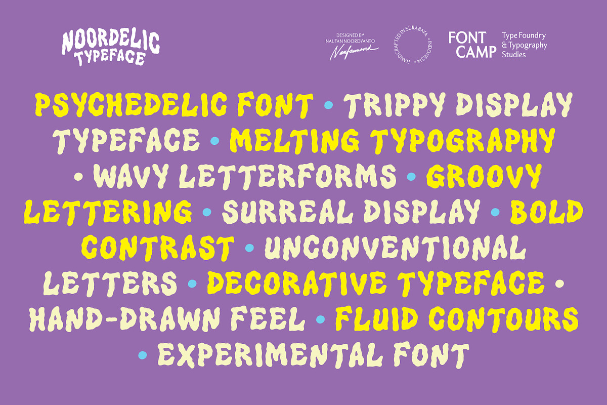 Noordelic Font, a Symbol Font by Fontcamp Type Foundry (Photo 8 of 14)
