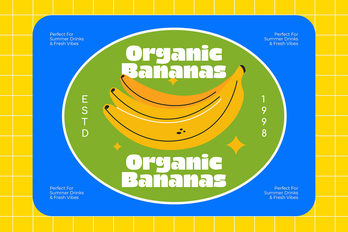 Fresh Chunky Retro Groovy Sans, a Sans Serif Font by timelesstype.co (Photo 9 of 15)