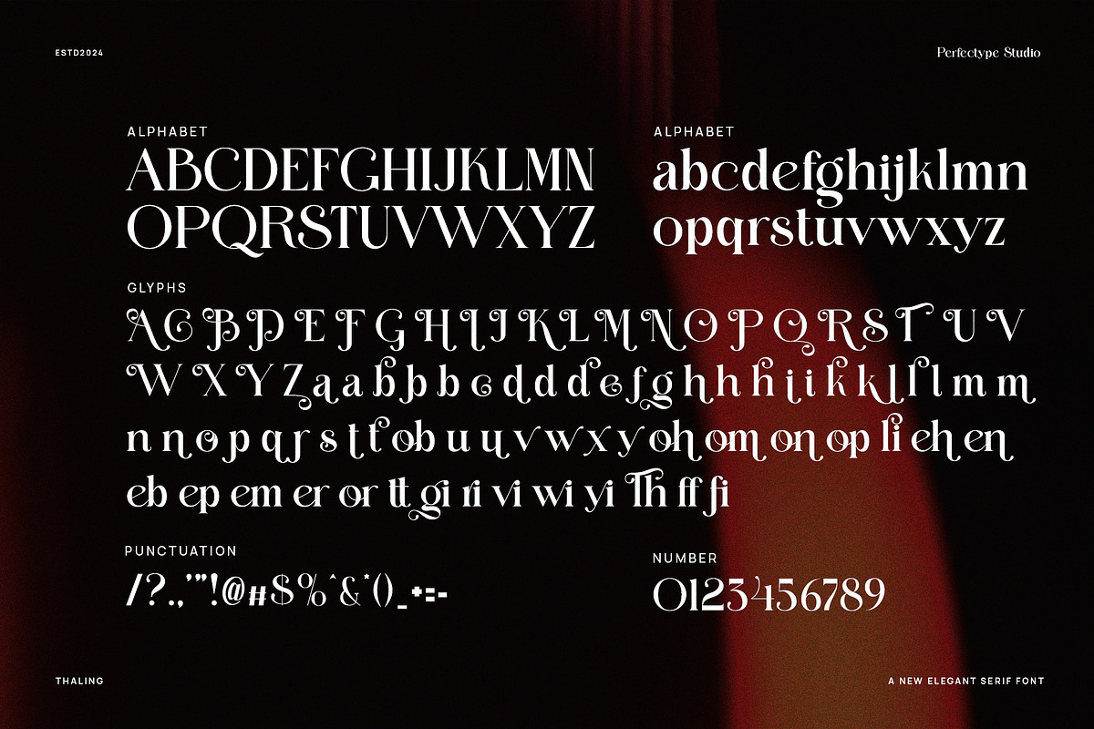 Thaling Modern Serif Font, a Serif Font by Perfectype (Photo 6 of 8)