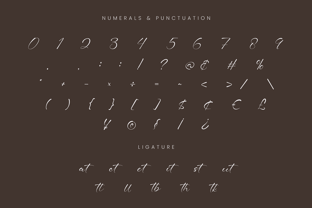 Lucia Arditsy Signature, a Script Font by Randi Irvan | Rvandtype (Photo 10 of 12)