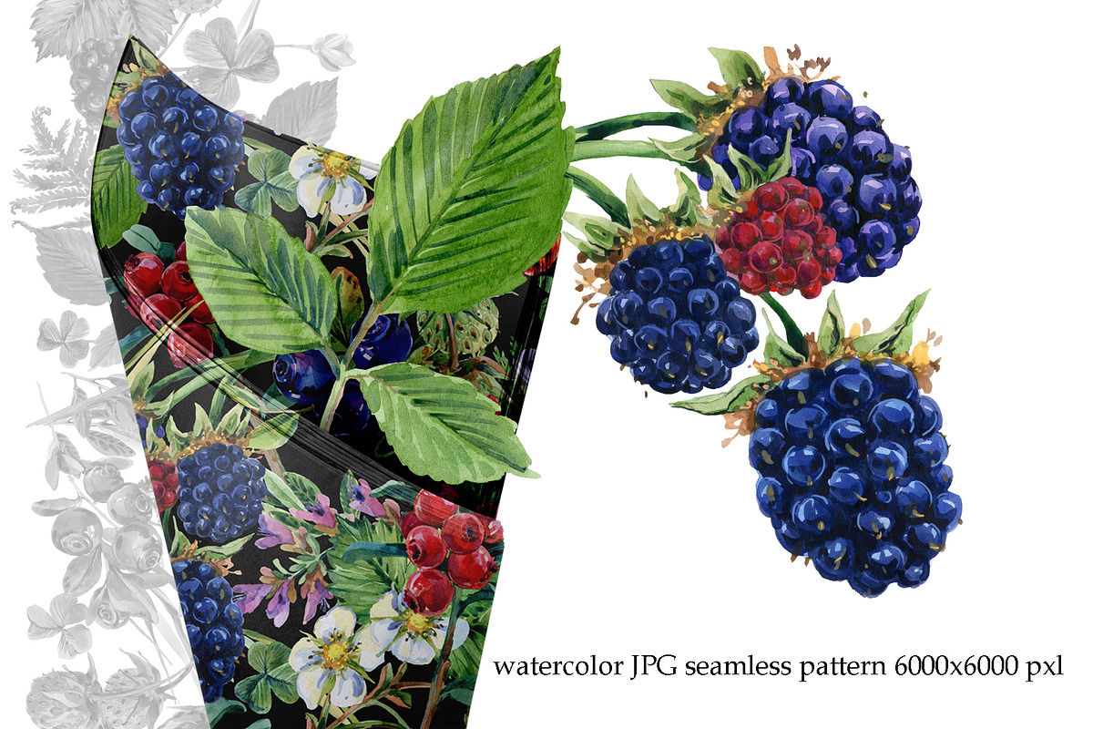 Watercolor Forest berryes, a Food Illustration by FineArt (Photo 8 of 8)