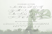 Maria Louisa Script Font, a Script Font by MLT DESIGN LAB (Thumbnail 13 of 16)