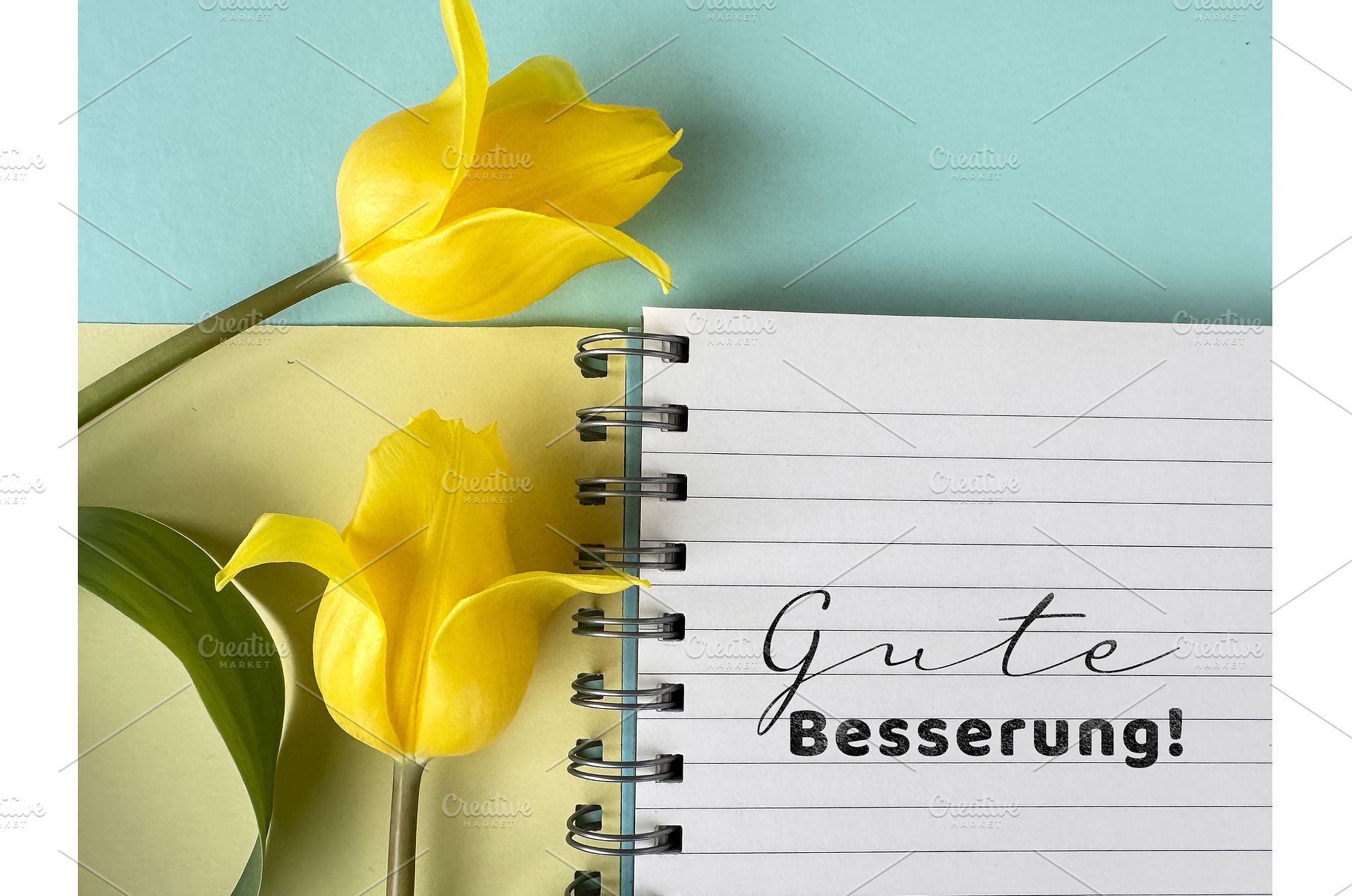Yellow tulips with a notebook, a Photo by tilialucida
