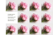 Real Paint FX - Painted Photo Effect, a Plug-in Add-On by Giallo (Thumbnail 3 of 10)