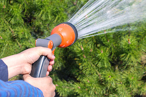 Human hand holding water sprinkler, a Person Photo by BOOCYS