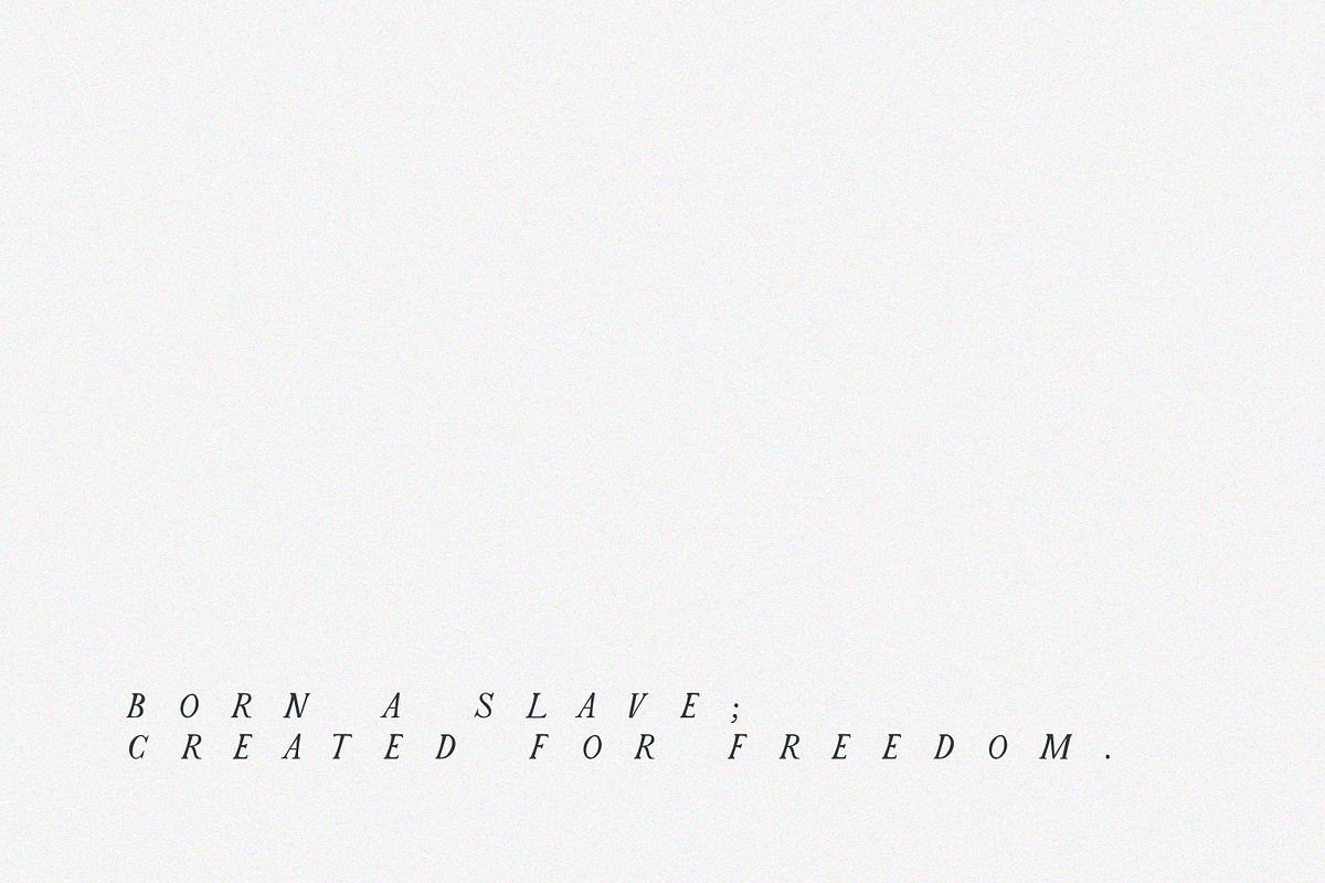 Passion | Romantic Serif preview 3