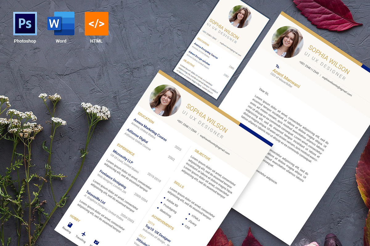 Royal Resume Design, a Resume Template by AdminUIUX (Photo 1 of 5)