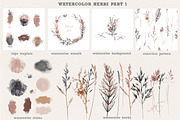 Watercolor herbs collection, a Decorative Illustration by Tatiana Davidova (Thumbnail 2 of 8)