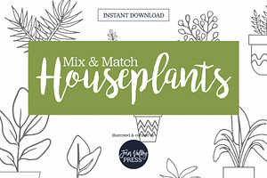 Hand Drawn House Plant Illustrations