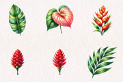 Tropical Floral Plants & Frames Set, a Seasonal Illustration by CreationArt (Thumbnail 3 of 7)