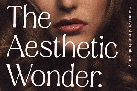 Aesthetic Wonder - Modern Aesthetic, a Serif Font by Prioritype Co