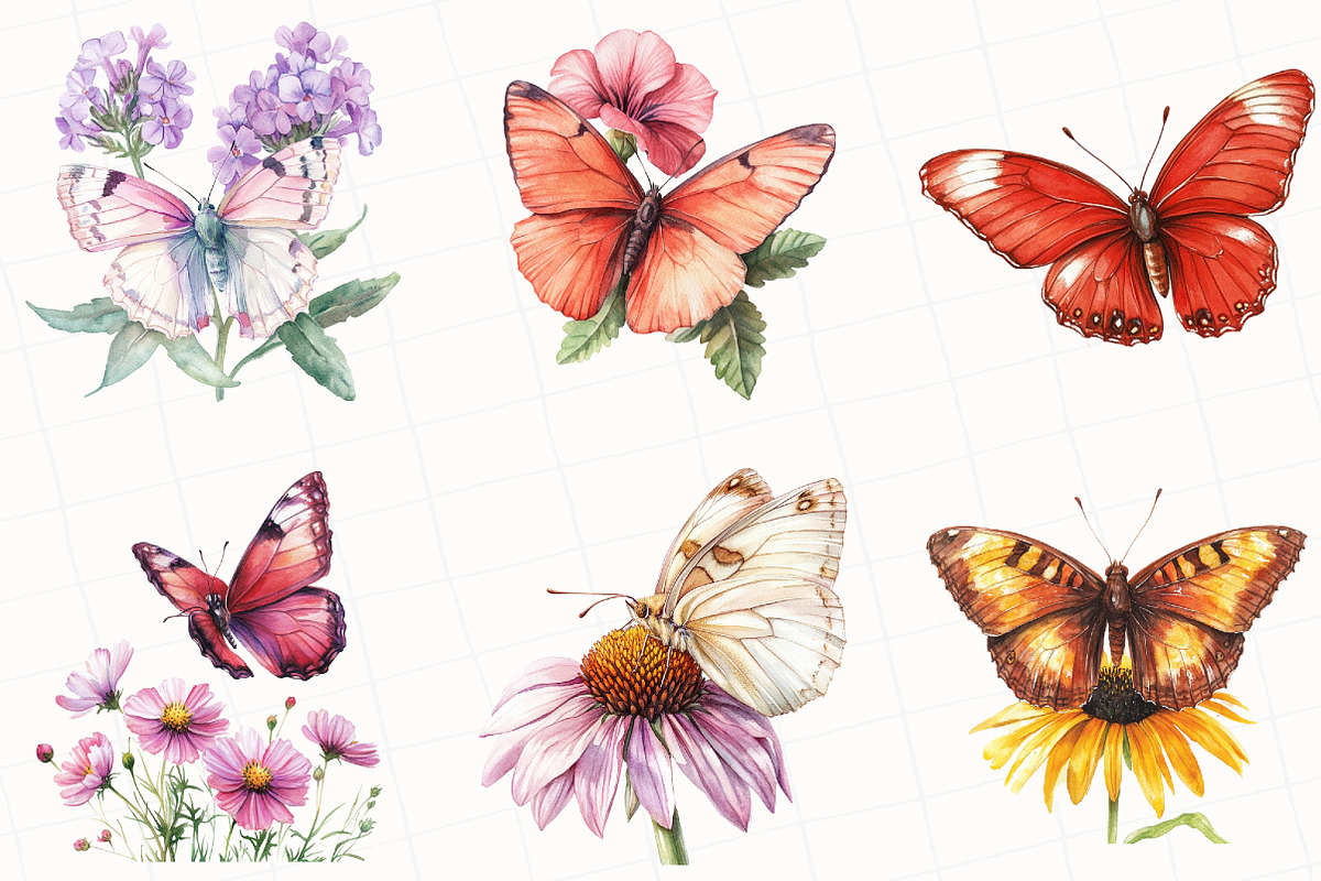 Summer Butterflies Garden Clipart, an Illustration by OK Design (Photo 2 of 5)