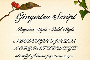 Gingertea Script Font