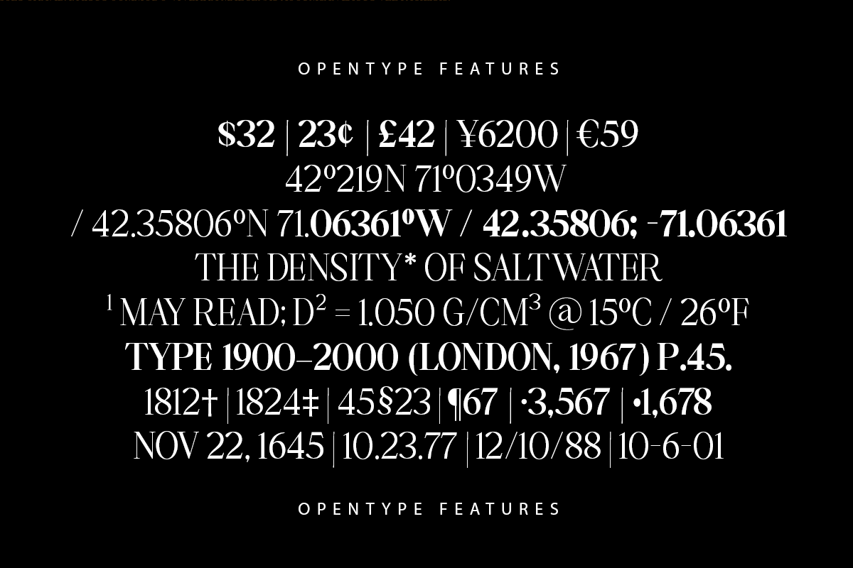 Falèfion – (14 Styles), a Serif Font by Madjack.font (Photo 5 of 11)